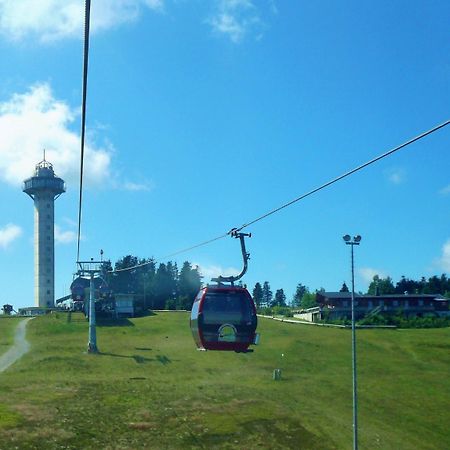 Komfort-Fewo Ettelsberg-Panorama Willingen  Zewnętrze zdjęcie