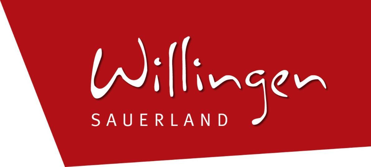 Komfort-Fewo Ettelsberg-Panorama Willingen  Zewnętrze zdjęcie