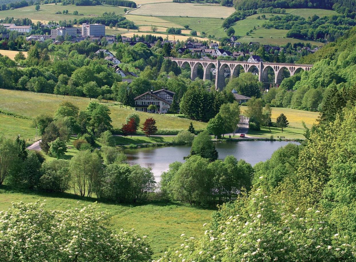 Komfort-Fewo Ettelsberg-Panorama Willingen  Pokój zdjęcie