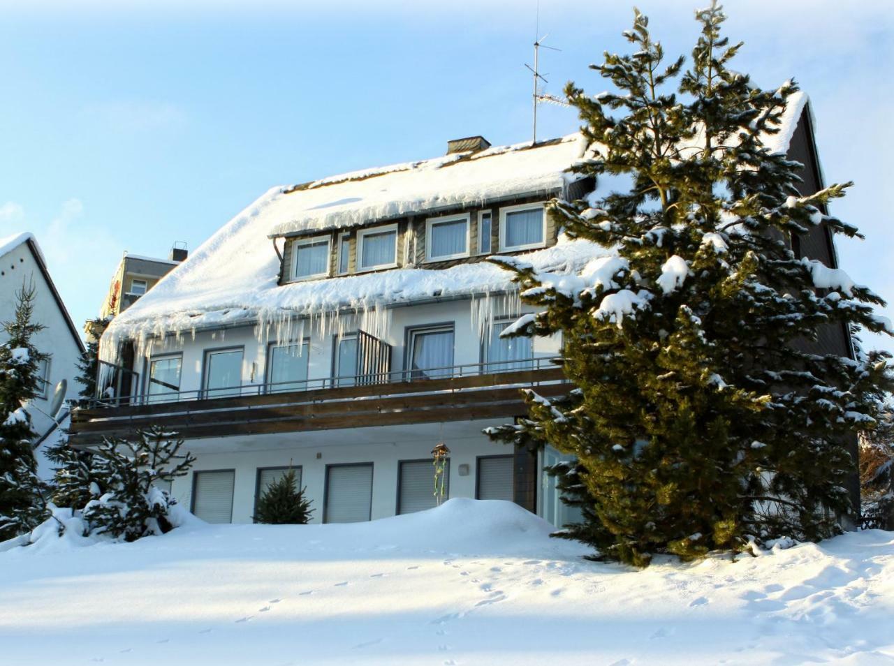 Komfort-Fewo Ettelsberg-Panorama Willingen  Pokój zdjęcie